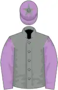 Grey, mauve sleeves, mauve cap, grey star