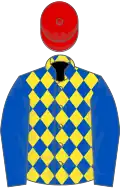 Yellow, blue diamonds, blue sleeves, red cap
