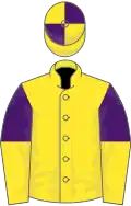 Yellow, purple and yellow halved sleeves, yellow and purple quartered cap
