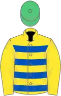 Yellow, dark blue hooped, yellow sleeves, green cap