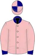 Pink, navy blue collar and cuffs, quartered cap