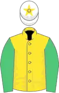 Yellow, emerald green sleeves, white cap, yellow star