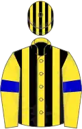 Yellow, black stripes on body and cap, blue armlets
