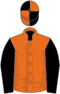Orange, black sleeves, black and orange quartered cap