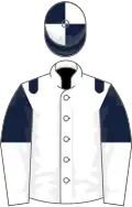 White, dark blue epaulets, dark blue and white halved sleeves, quartered cap