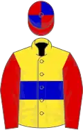 Yellow, blue hoop, red sleeves, red and blue quartered cap
