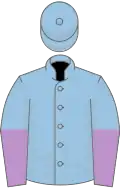 Light blue, mauve halved sleeves
