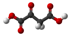 Image illustrative de l’article Acide oxaloacétique