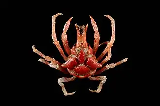 Description de cette image, également commentée ci-après