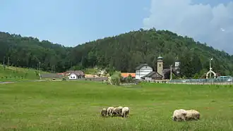 Kaluđerica (Petrovo)