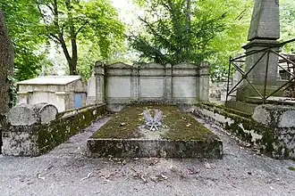 Pierre tombale grise, rectangulaire, ornée de deux palmes gravées, envahie par la mousse