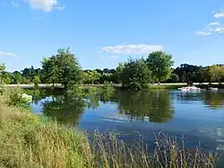 Pédalos sur un étang de la base nautique.
