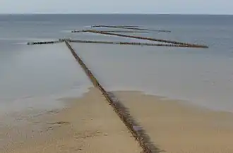 Image illustrative de l’article Charfia