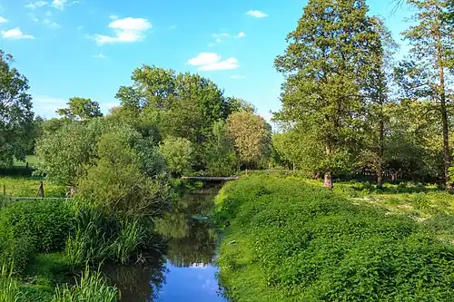Réserve naturelle de Bystřice.