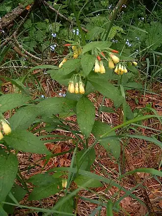 Description de l'image Přírodní park Baba713.jpg.