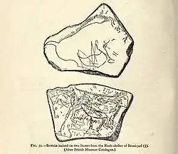 Deux plaquettes gravées figurant des bovidés.Abri Montastruc.British Museum,.