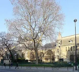 Image illustrative de l’article Square Miss.Tic