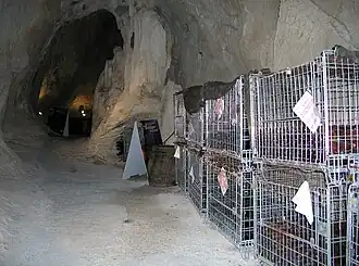 Bouteilles de vin mousseux entreposées dans la galerie du Tanone.