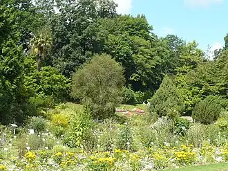 Le jardin des plantes.