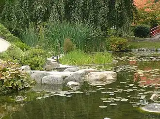 Vue rapprochée sur l'aménagement jardin japonais contemporain.