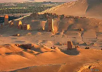 Nécropole de Palmyre