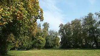 Borkowo Wielkie (Mazovie)