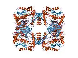 Description de cette image, également commentée ci-après