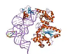 Description de cette image, également commentée ci-après