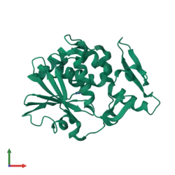Image illustrative de l’article Trichosanthine