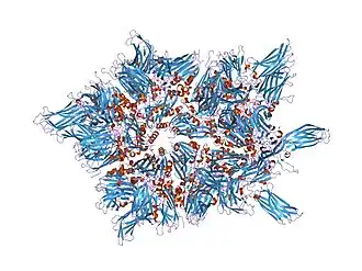 Description de l'image PDB 2df7 EBI.jpg.