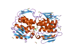 Description de cette image, également commentée ci-après