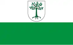 Drapeau de Kruszwica
