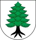 Blason de Myszyniec