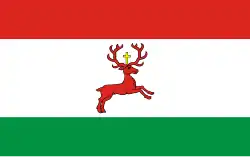 Drapeau de Wyrzysk