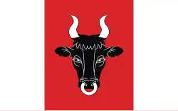 Drapeau de Gmina Ryczywół