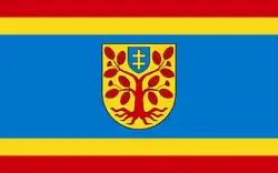 Drapeau de Gmina Zbuczyn