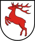 Blason de Powiat de Brodnica