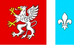Drapeau de Powiat de Dębica