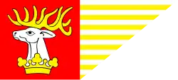 Drapeau de Powiat de Lublin
