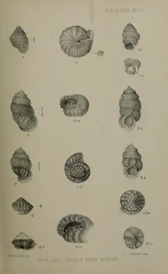 Description de l'image PZSL1889Plate12.png.