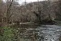 Paštrić - Ribnica - Rivière Ribnica
