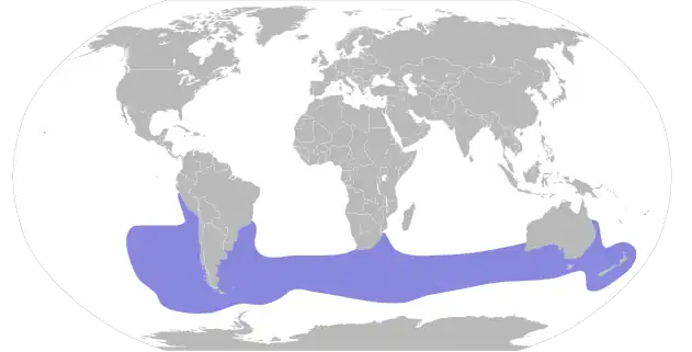 Répartition du prion de Belcher