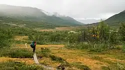 Une personne sur un chemin couvert de planches en bois dans une vallée de basses montagnes.