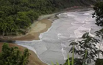 Embouchure de la Pagua river.
