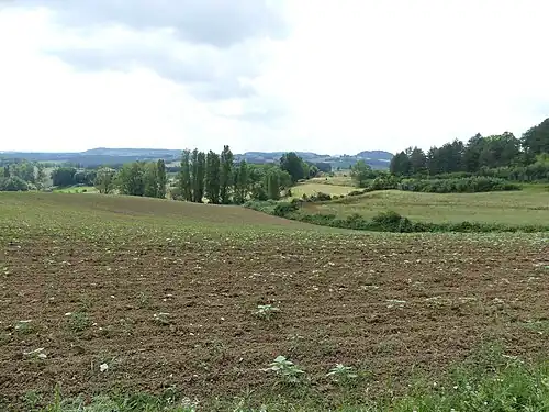 Paysage vers Sénézelles.