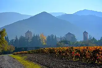Paysage d'automne à Poblet.
