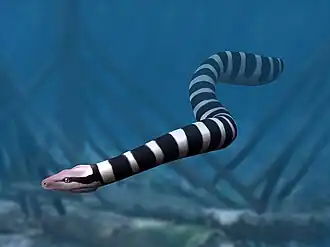 Vue d'artiste de Palaeophis maghrebianus