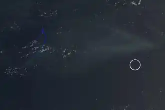 Photographie satellite du Helen Reef avec la localisation supposée de Pieraurou marquée par un cercle.