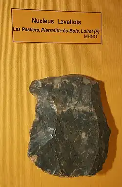 Nucleus Levallois trouvé à Pierrefitte-ès-Bois