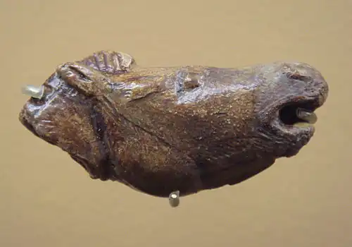 Tête de cheval sculptée.MAN